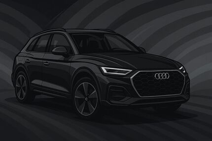 Audi Q5 86.000 km 29.990 &euro; Dillingen 89407