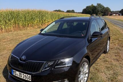 Skoda Octavia 110.000 km 14.000 &euro; Everswinkel 48351