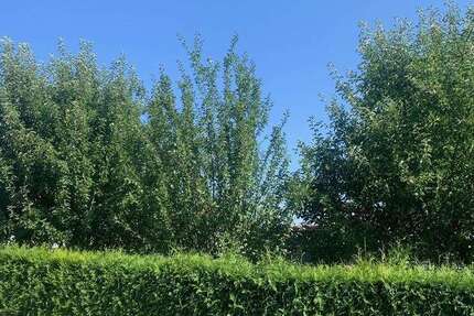 Grundstück Sinzing - 149.000&euro; | Angebot:25457715