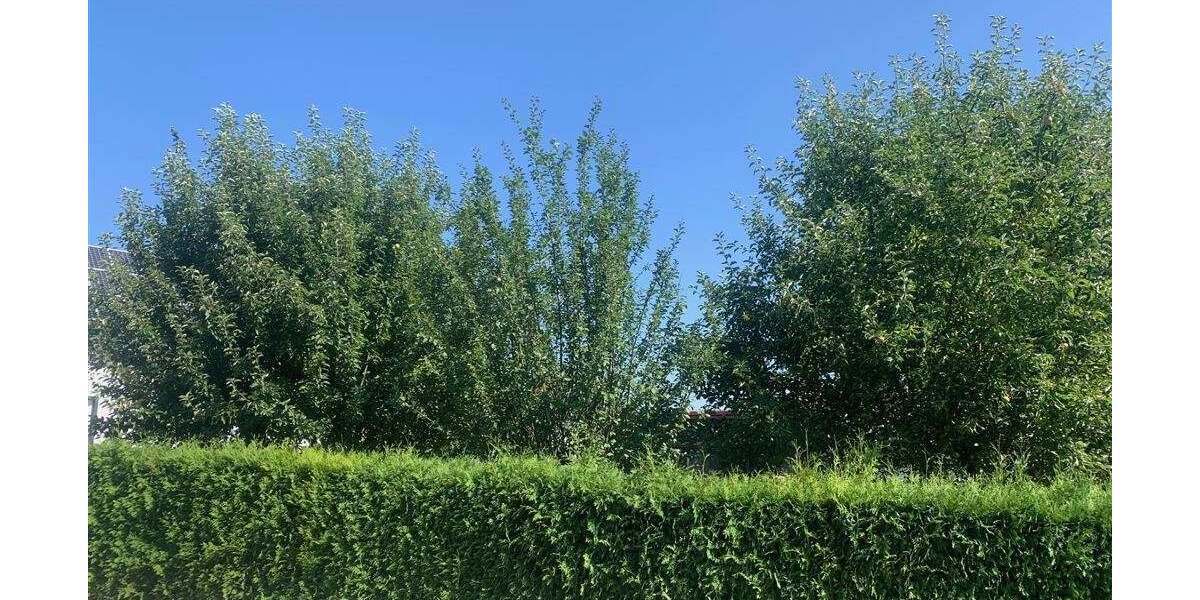 Grundstück Sinzing - 149.000&euro; | Angebot:25457715