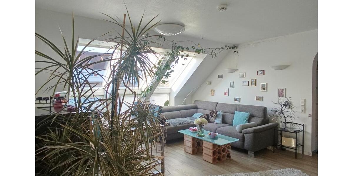ohne Makler: helle Wohnung mit Aussicht, Energie B, Klimaanlage 3.5 zimmer