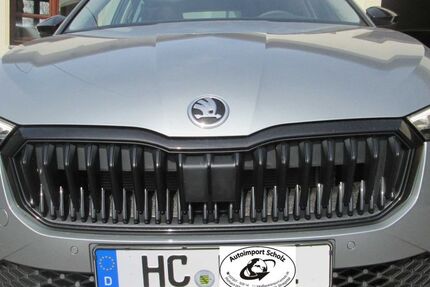 Skoda Scala 4.800 km 21.990 &euro; STRIEGISTAL 09661