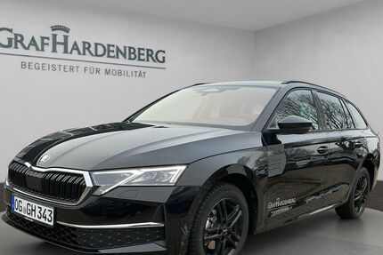 Skoda Octavia 12.500 km 39.990 &euro; Offenburg 77652