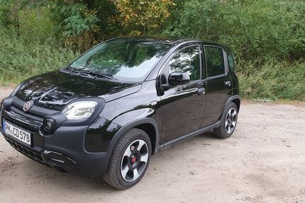 Fiat Panda 31.300 km 10.500 &euro; Seddin 14554