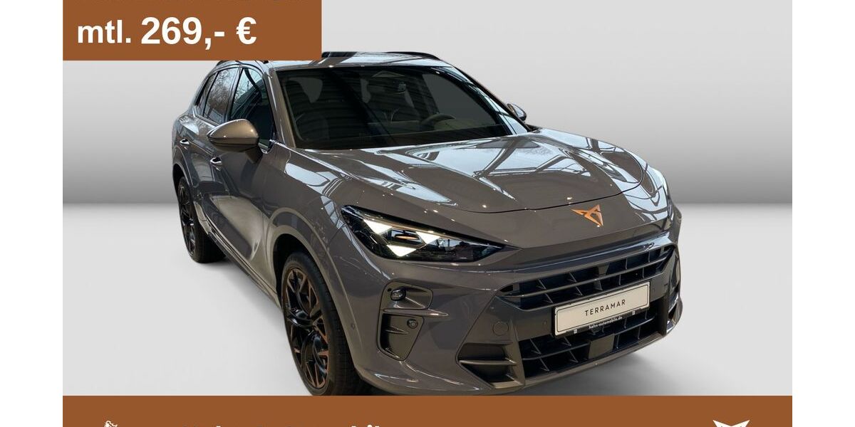 Cupra Terramar 14.900 km 44.870 &euro; Göppingen 73037