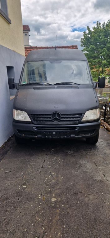 Sprinter