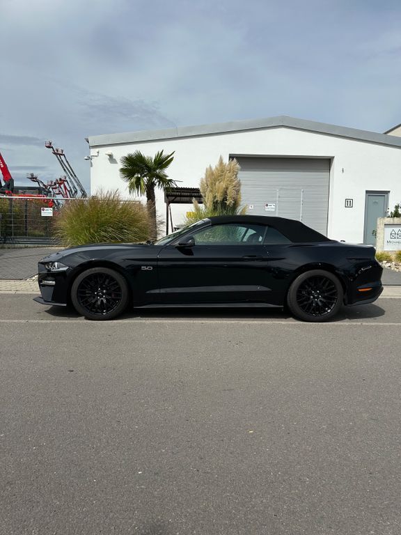 Mustang
