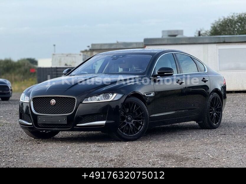 XF