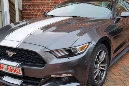 Ford Mustang 216.000 km 12.500 &euro; Ostbevern 48346