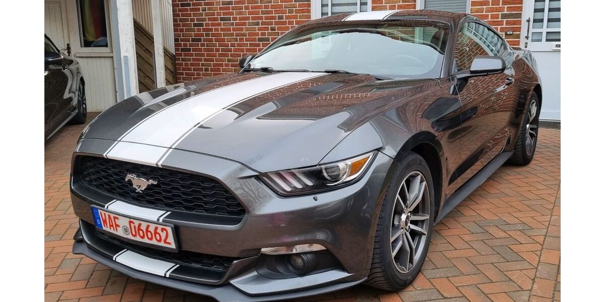 Ford Mustang 216.000 km 12.500 &euro; Ostbevern 48346