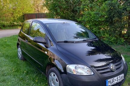 VW Fox