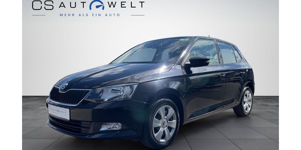 Skoda Fabia 68.800 km 8.890 &euro; Georgensgmünd 91166