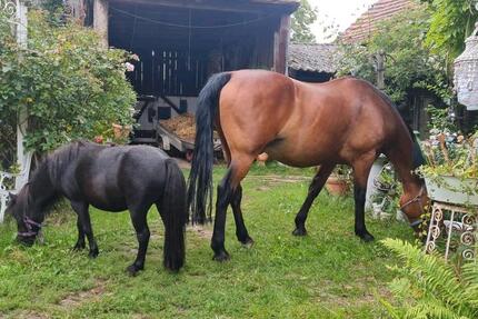 Haus Genthin - 350.000&euro; | Angebot:25380059