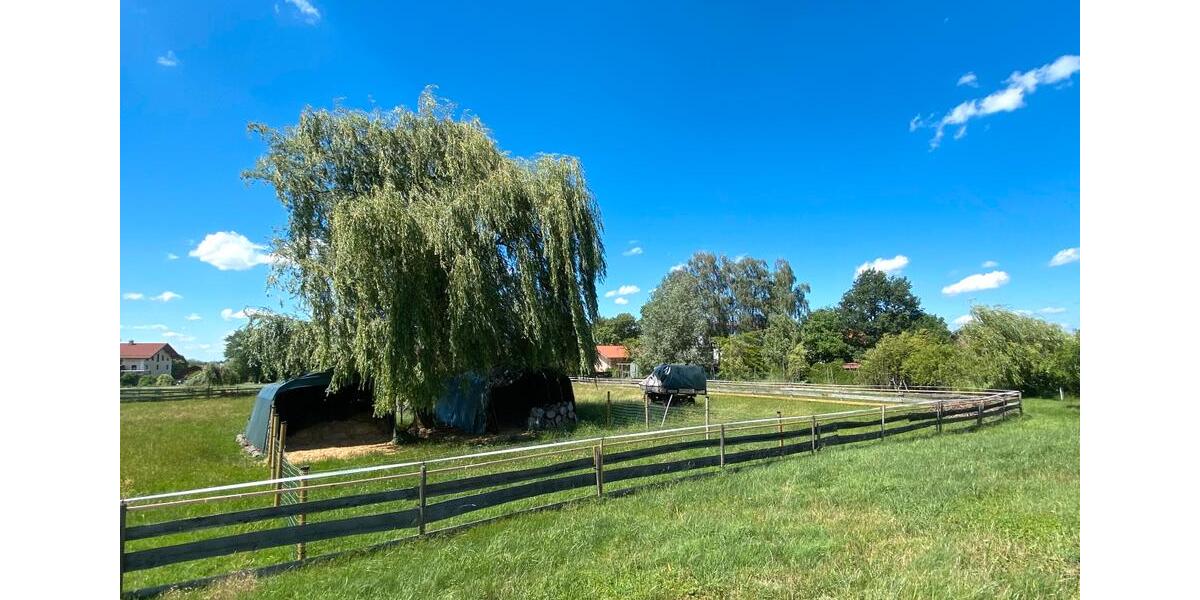 Bauernhaus, Landhaus Tacherting - 6 Zimmer, 200 m&sup2;, 1.750.000&euro; | Angebot:26905185