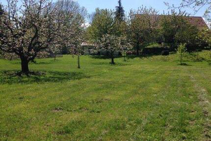 Grundstück Mockrehna - 120.000&euro; | Angebot:19314097