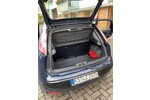Punto Evo
