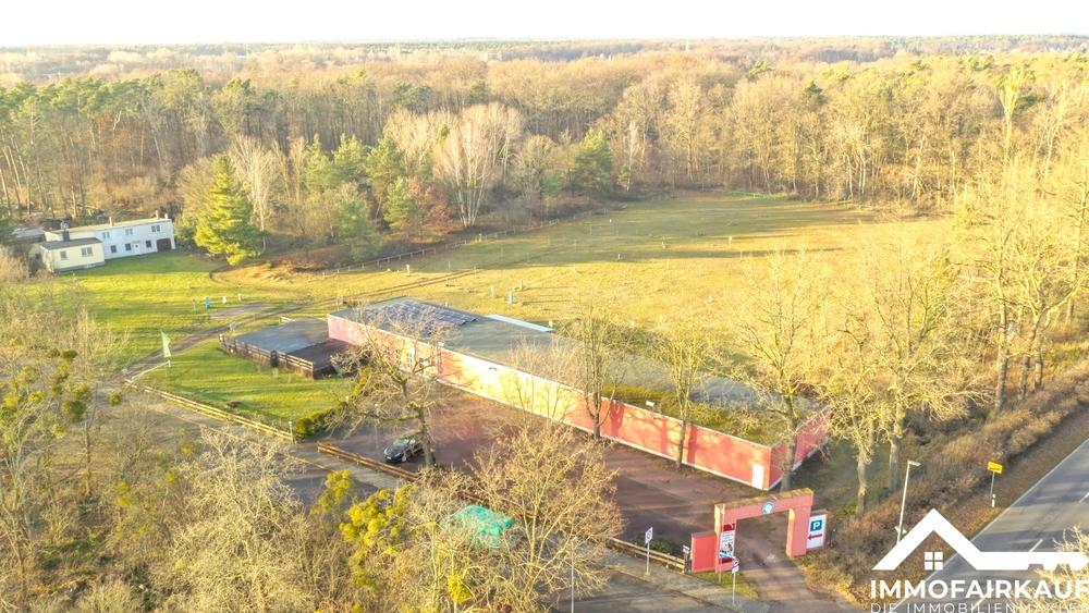 Vielseitig nutzbares Gastronomie- und Freizeitensemble mit Ganzjahrespotenzial - Gewerbeobjekt Dessau-Roßlau Roßlau | Angebot:25717424