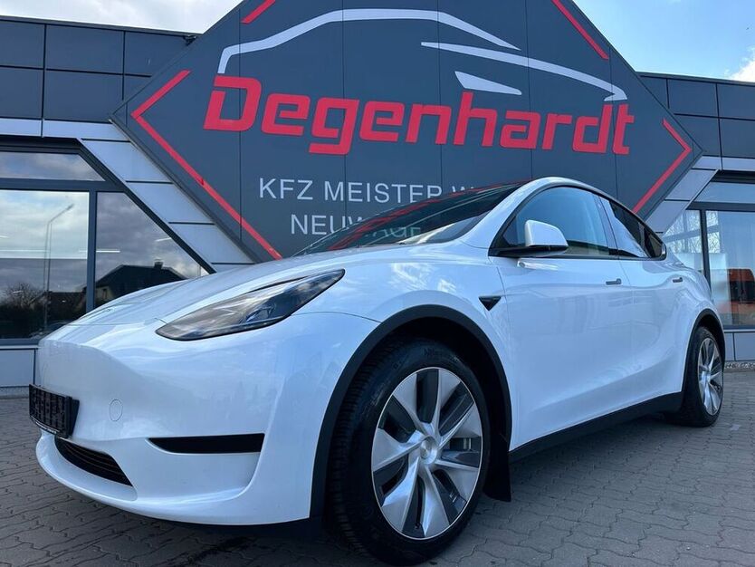 Model Y