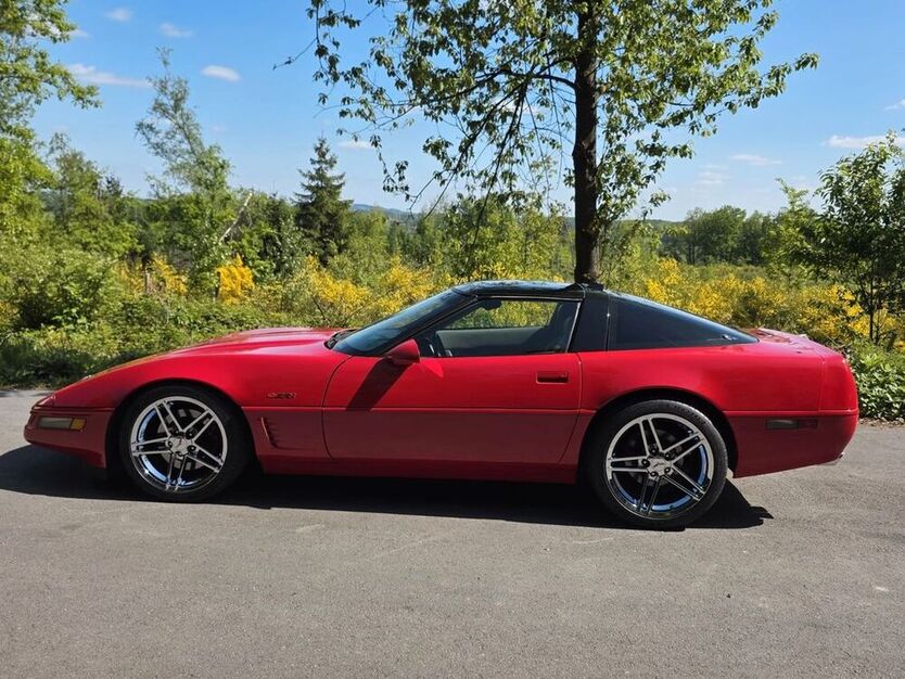 ZR 1