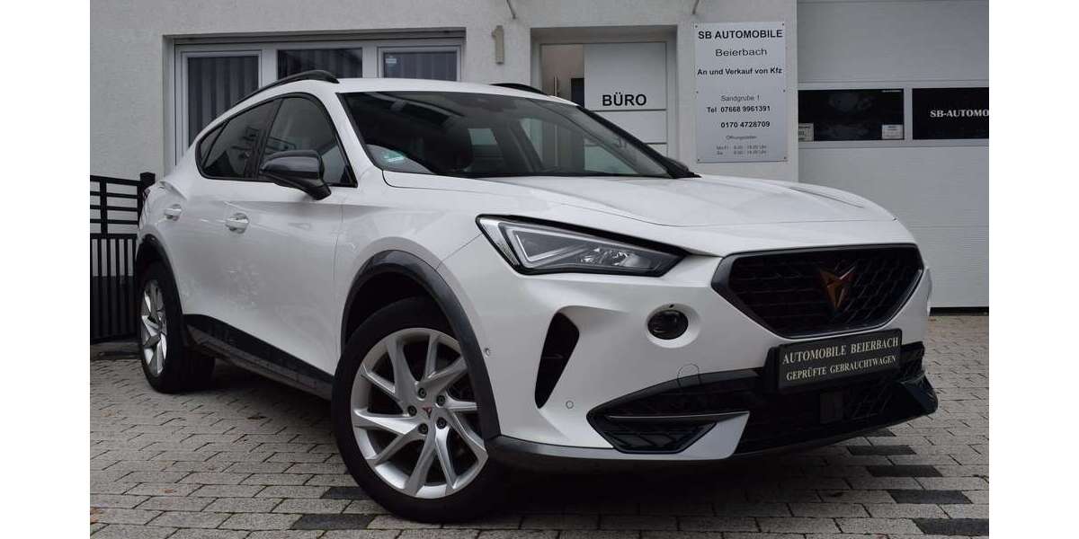 Cupra Formentor 44.465 km 22.999 &euro; Merdingen 79291