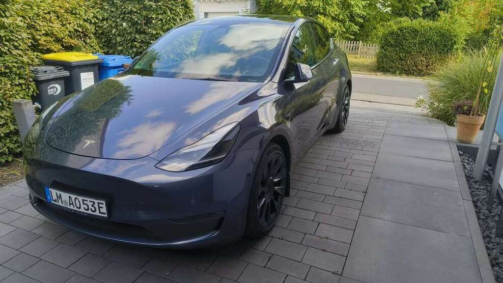 Model Y