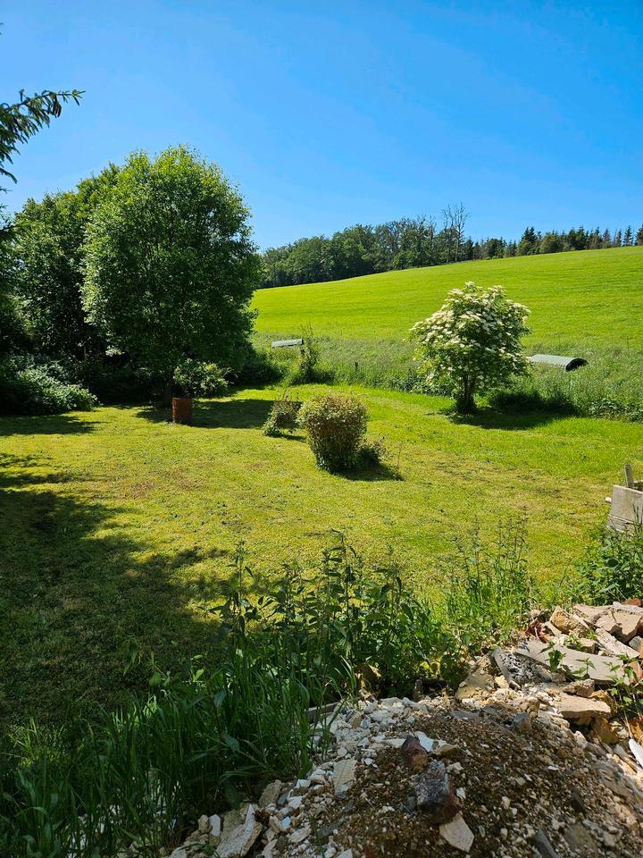 Einfamilienhaus freistehend zimmer