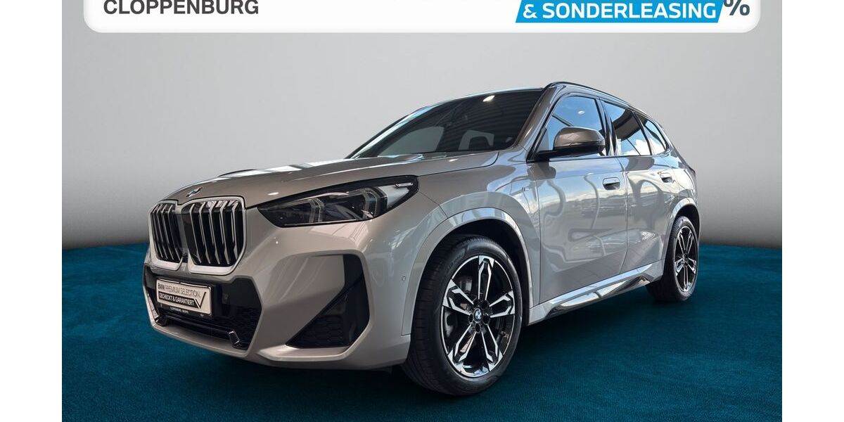 BMW X1 19.266 km 48.980 &euro; Bad Kreuznach 55543