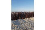 Bungalow Dornum Nesse - 3 Zimmer, 102 m&sup2;, 429.000&euro; | Angebot:26196789