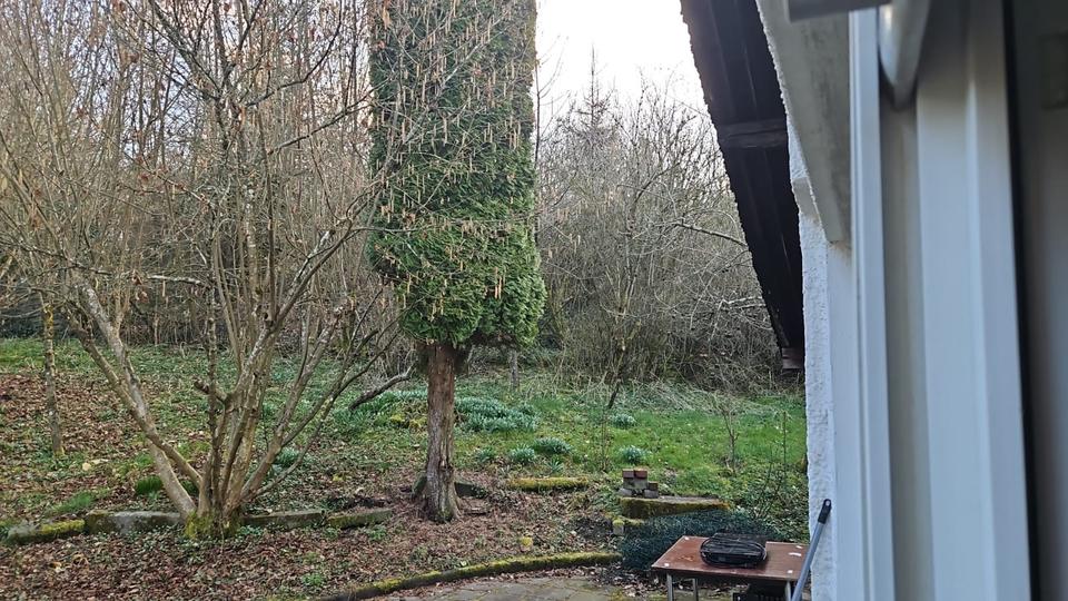 Bungalow Windeck - 3.5 Zimmer, 90 m&sup2;, 1.100&euro; | Angebot:26688652
