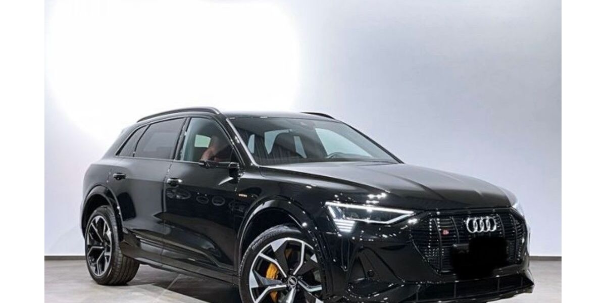 Audi e-tron 59.115 km 39.900 &euro; Schonungen 97453