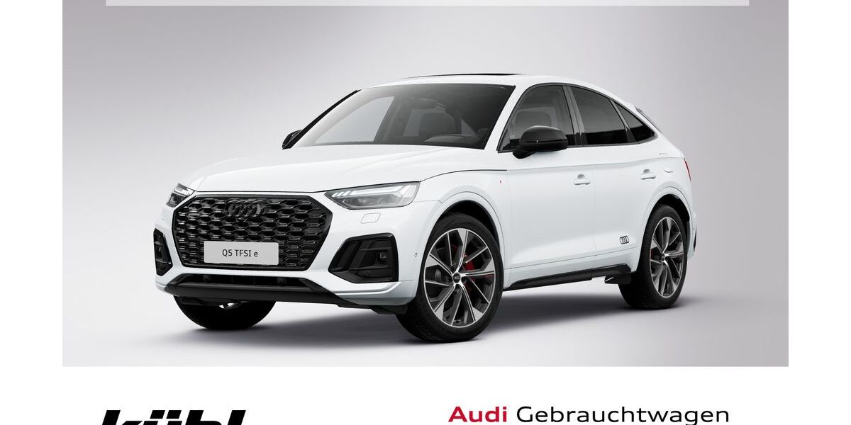 Audi Q5 113.710 km 35.780 &euro; Gifhorn 38518