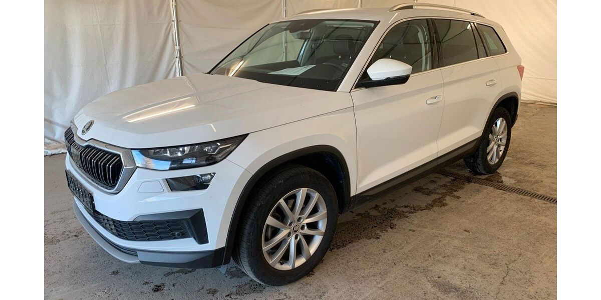 Skoda Kodiaq 176.300 km 22.990 &euro; Steinbach-Hallenberg OT Herges-Hallenberg 98587