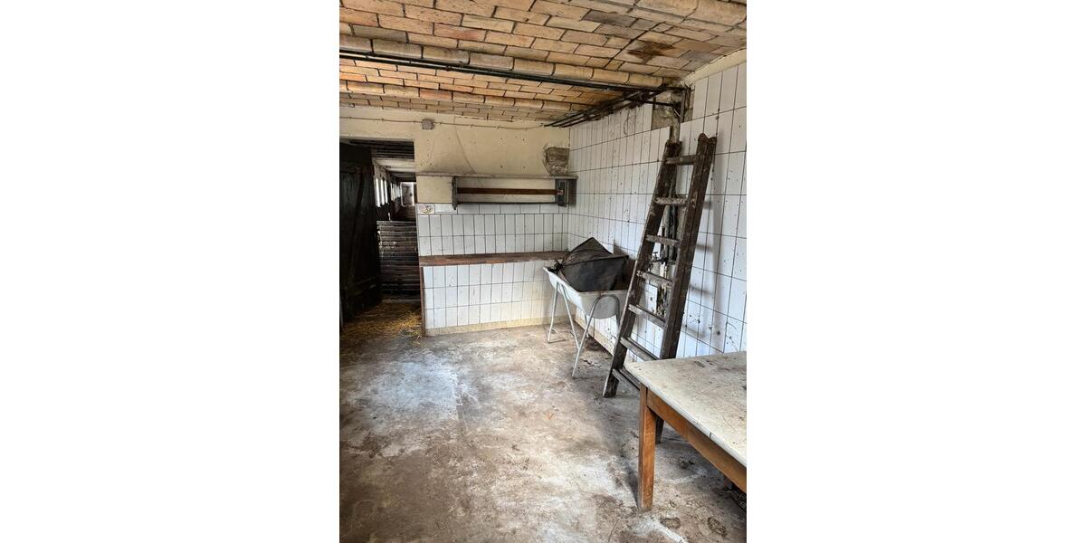 Gewerbeobjekt Flensburg Altstadt - 600&euro; | Angebot:25980668