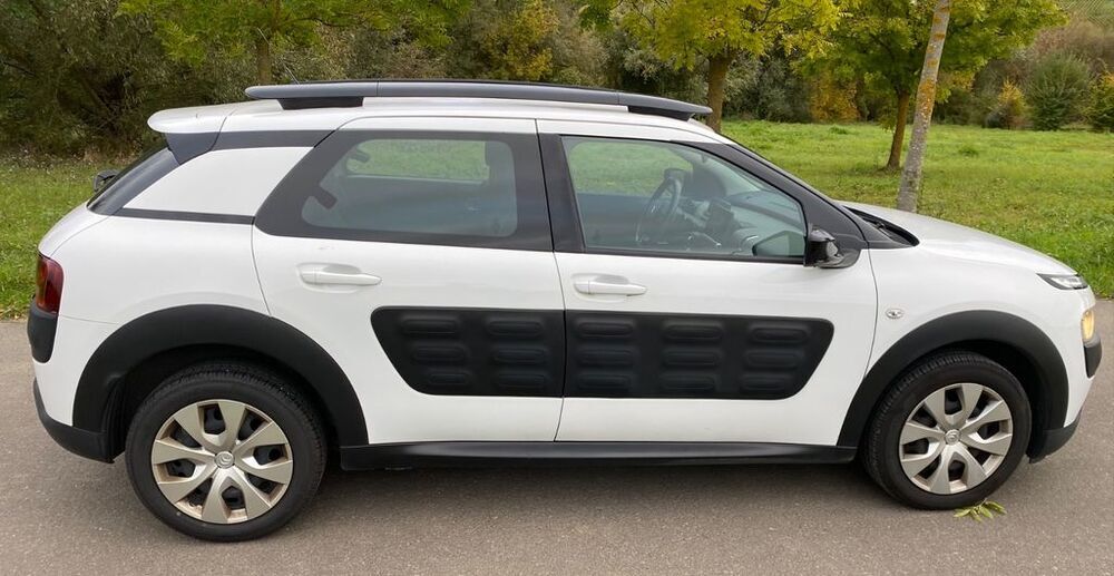 C4 Cactus