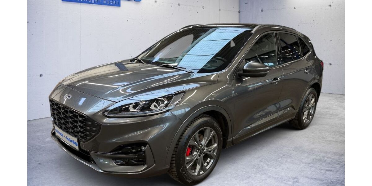 Ford Kuga 24.183 km 27.370 &euro; Weil am Rhein 79576