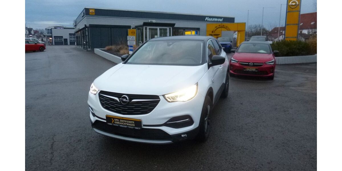 Opel Grandland (X) 99.750 km 17.990 &euro; Rottenburg am Neckar 72108