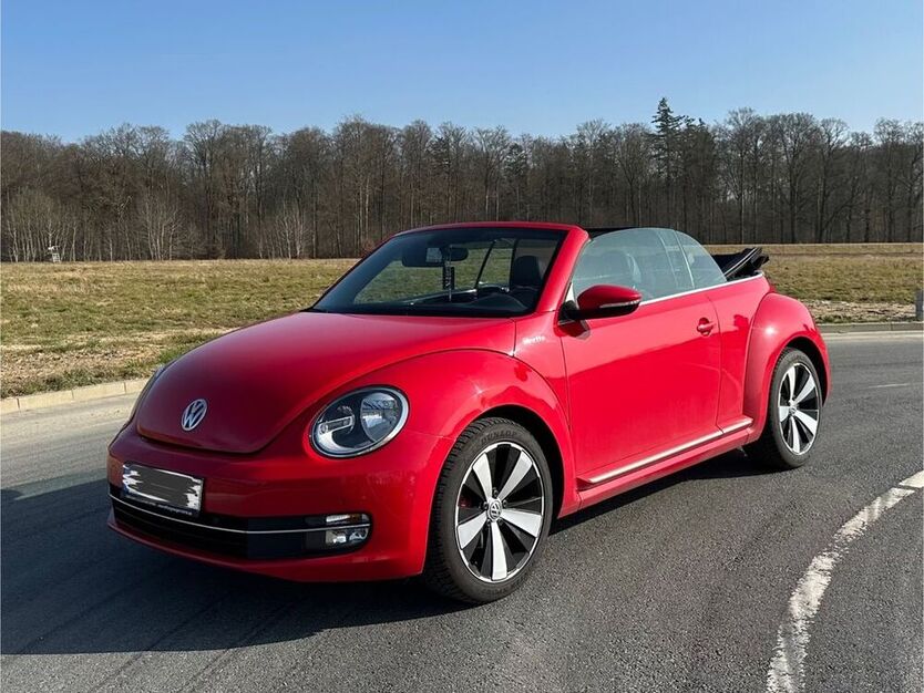 Beetle