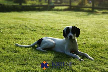 Grundstück zu verkaufen in Germering 639.000 € 356.5 m² zimmer