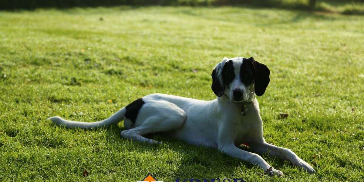 Grundstück zu verkaufen in Germering 639.000 € 356.5 m² zimmer