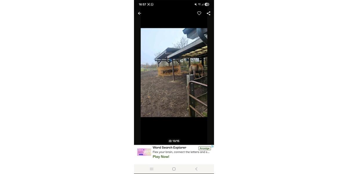 Wohnung mit pferdehaltung 4 zimmer