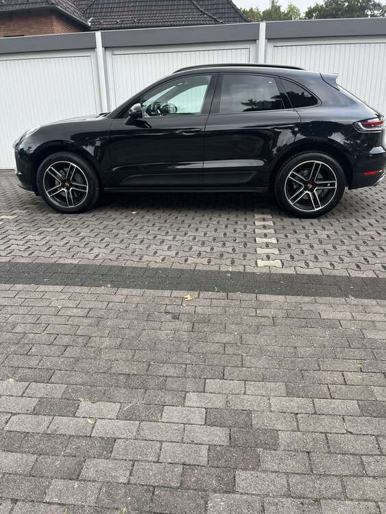 Macan