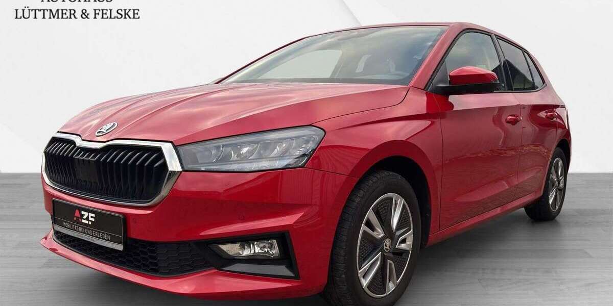 Skoda Fabia 69.300 km 15.980 &euro; Schleswig 24837