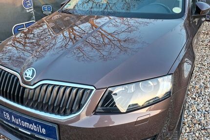 Skoda Octavia 117.000 km 11.888 &euro; Bitterfeld-Wolfen OT Wolfen 06766