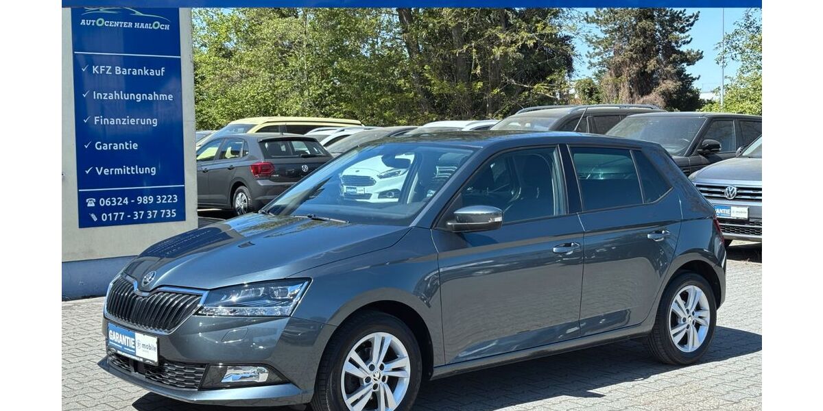 Skoda Fabia 67.026 km 12.490 &euro; Haßloch 67454
