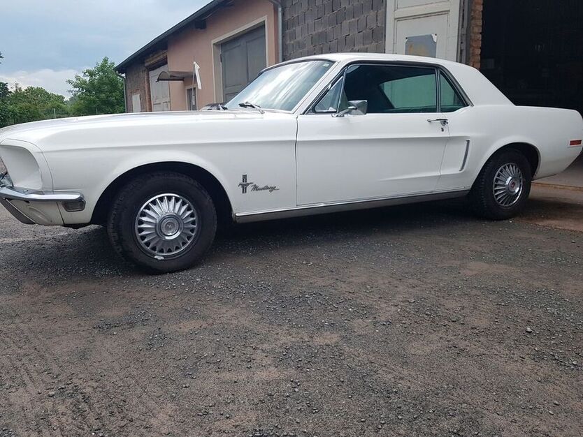 Mustang
