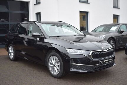 Skoda Octavia 20.335 km 30.970 € Werther/Westfalen 33824