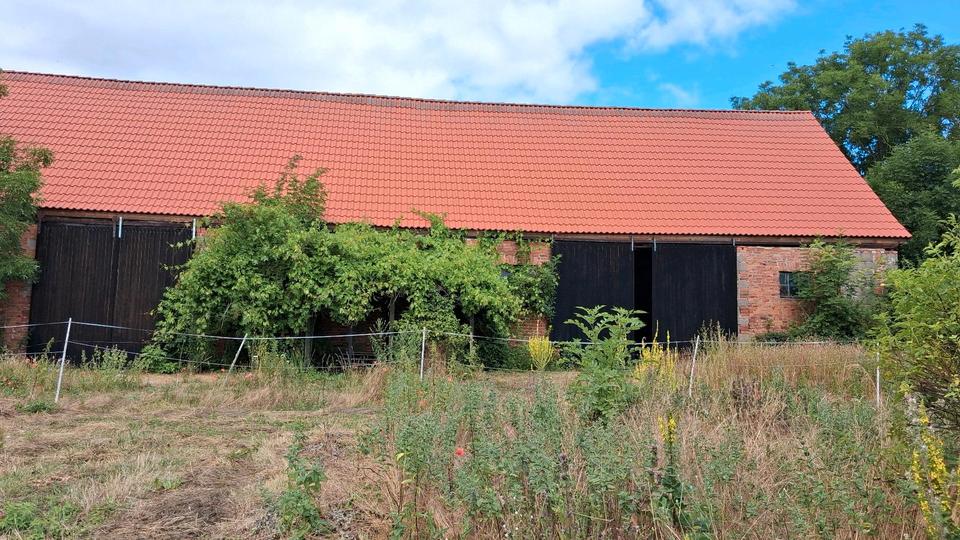 Bauernhaus, Landhaus Genthin - 8 Zimmer, 150 m&sup2;, 250.000&euro; | Angebot:27225185
