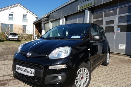 Fiat Panda 74.547 km 6.990 &euro; Oberstaufen 87534