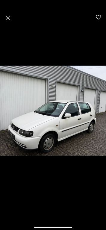Polo