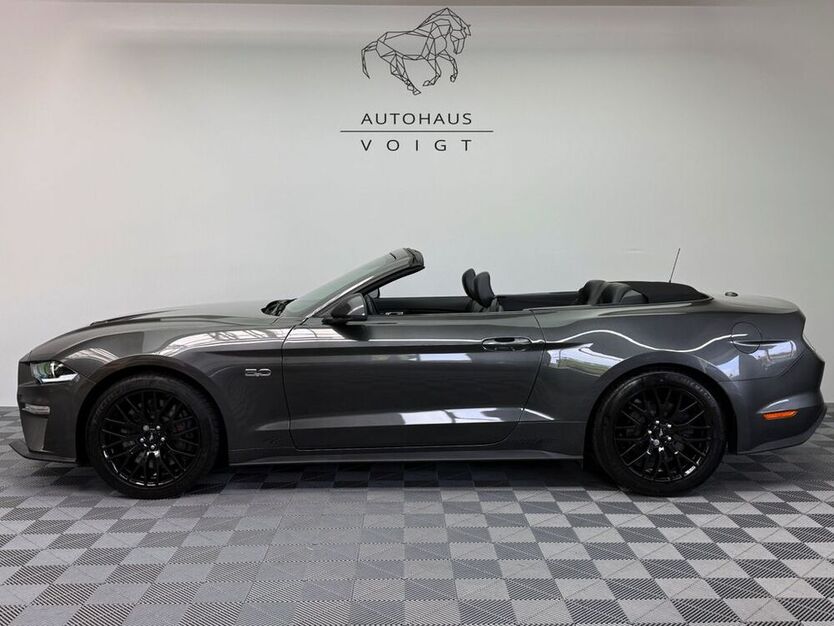 Mustang